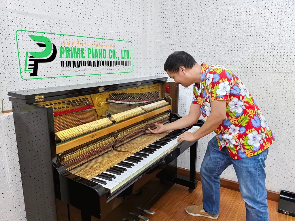 Piano Action Regulation Lessons