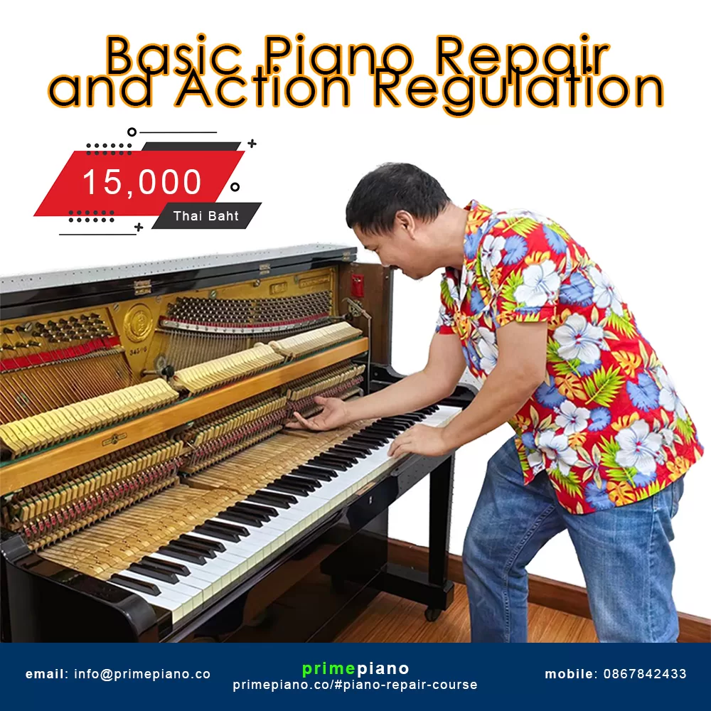 Basic Piano Repair and Action Regulation