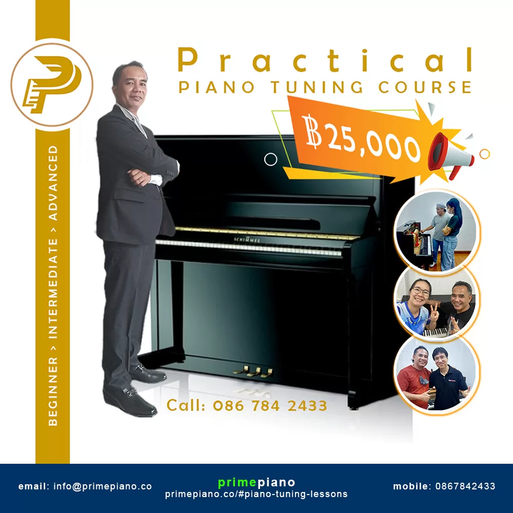 Piano Tuning Course Ad Image