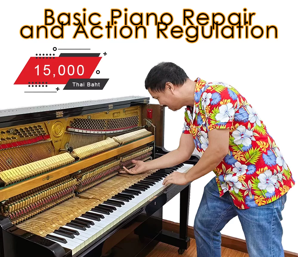 Basic Piano Repair and Action Regulation